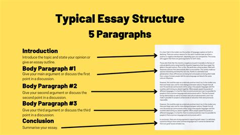 How Long Should a Body Paragraph Be in an Essay? A Deep Dive into the Ideal Length