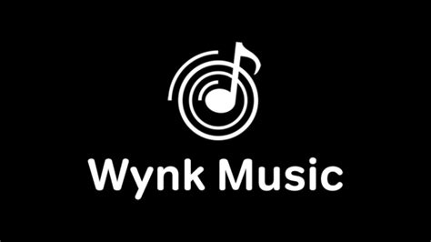 is wynk music safe: Delving into the Nuances of Music Streaming Platforms' Security